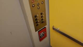S22: ThyssenKrupp Elevator Urban Systems Engineering Arizona State University (ASU) Tempe, AZ