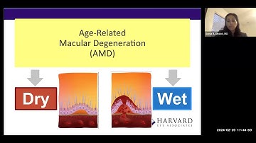Macular Degeneration 2024