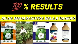 PRANSHI GOLDI 333 BG & H-SPORT BG & JIVRAS ORGANIC MAHARASHTRA JALNA BEST YIELDING COTTON