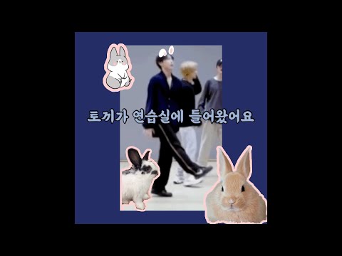 [NCT도영] 연습실에 토끼가 왔네에~ (???: 오복이가왔네에~)