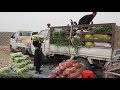 Herat city and vegetables and fruits market | herat, afghanistan