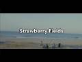 sumika-Strawberry Fields 가사/발음/번역