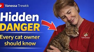 Hyperthyroidism and Kidney disease in Cats - all you need to know.