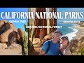 Sequoia Forest, Joshua Tree, Crystal Cove Beach, & Anaheim Disneyland all in 3 days! California Vlog