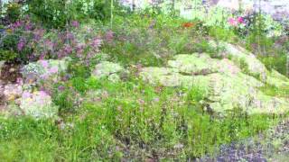 Club De Golf Mont Adstock