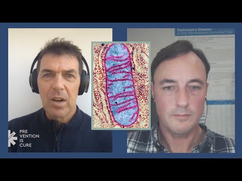 The Misconception About Mitochondria - Dr Matthew Phillips