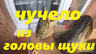видео: чучело из головы щуки картинка: чучело из головы щуки