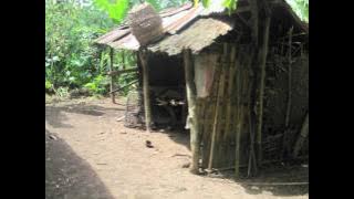 KANGEN  DI DESA - Trio Januadi     liong bali metra.wmv