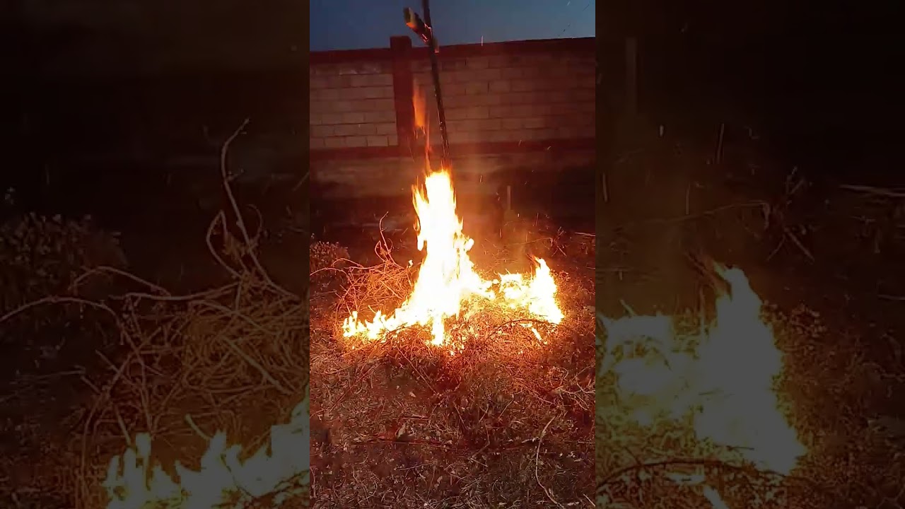 27 февраля 2026 г.