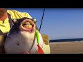 EPIC Inshore Fishing Adventure *Rooster Fish* {Catch Clean Cook} Catching fish 1 after the other!!!