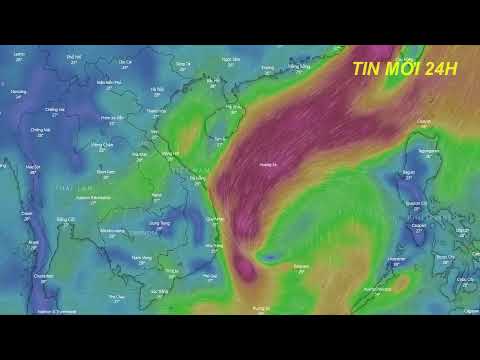 Video Dự báo thời tiết hôm nay mới nhất ngày 14/10 | Dự báo... - youtube