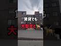【札幌賃貸情報】賃貸でも大型犬と暮らしたい‼︎#札幌#札幌不動産#札幌賃貸マンション#一人暮らし#同棲
