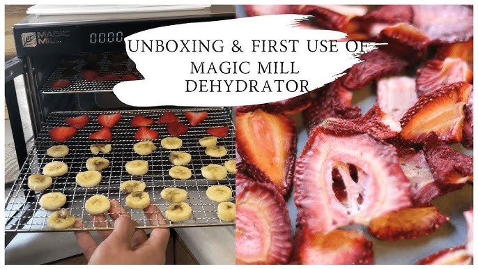 Magic Mill Food Dehydrator UnboxingPrepping Dehydrate First Use 