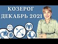 КОЗЕРОГ ДЕКАБРЬ 2021: Расклад Таро Анны Ефремовой 12+