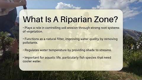 What Is A Riparian Zone? - Ecosystem Essentials