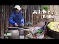 Stewed Radish in Casserole EP2丨虾仁蛋卷萝卜汤丨4K UHD丨小喜XiaoXi丨煲一锅有着“赛人参”美誉的高山萝卜，家里的狗子都快被馋哭了！