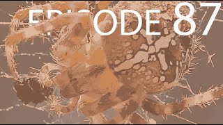 Episode 87 - Arthropoda I - Arachnids