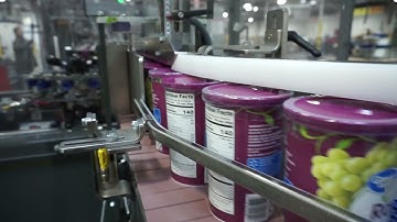 WP 25 Wraparound Case Packer, Canisters of Dried Fruit - BW Integrated Systems