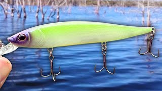 My #1 FISH Finding TOOL In The SPRING (LAKE BREAK) by BassFishingHQ 24,636 views 1 month ago 24 minutes