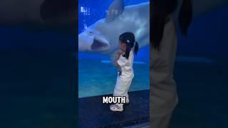 Beluga Whale Pranks Little Girl At The Aquarium