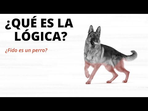 Video: ¿Qué significa lógica?