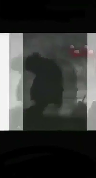 vinc gatraka yvelas madafaka