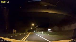 Caught On Dash cam Bear Hit By Car