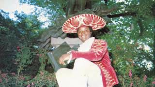 Video thumbnail of "William Onyeabor - The Moon and the Sun"