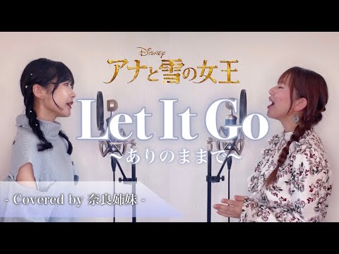 姉妹でハモる Let It Go ありのままで 松たか子 映画 アナと雪の女王 主題歌 Covered By 奈良姉妹 