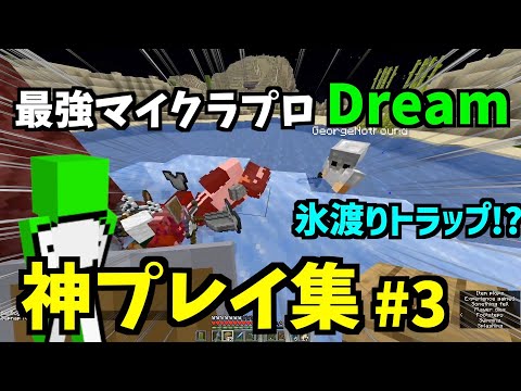 マインクラフト 海外プロプレイヤーDreamの神プレイまとめ 3 日本語字幕 