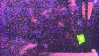 Cangül Eli̇f Tashüseyi̇n Tunç