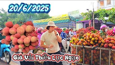ÁP LỰC BÁN VẢI THIỀU LỤC NGẠN SỚM TINH MƠ I NÚI ĐỒI LỤC NGẠN