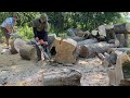     THE BIGGEST STUMP OF THE DAY | Stihl MS 462 C-M Takes Over