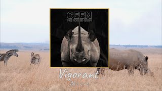 One Horned Rhino - Ceen