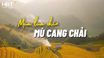 Mù Cang Chải mùa lúa chín - Những trải nghiệm không thể bỏ lỡ | HoaBinh Tourist
