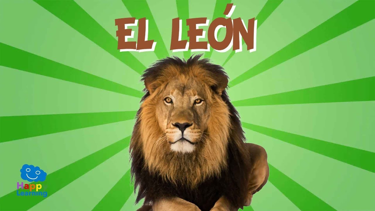 EL LEÓN, UN CAZADOR MUY DORMILÓN | Videos Educativos para Niños - YouTube