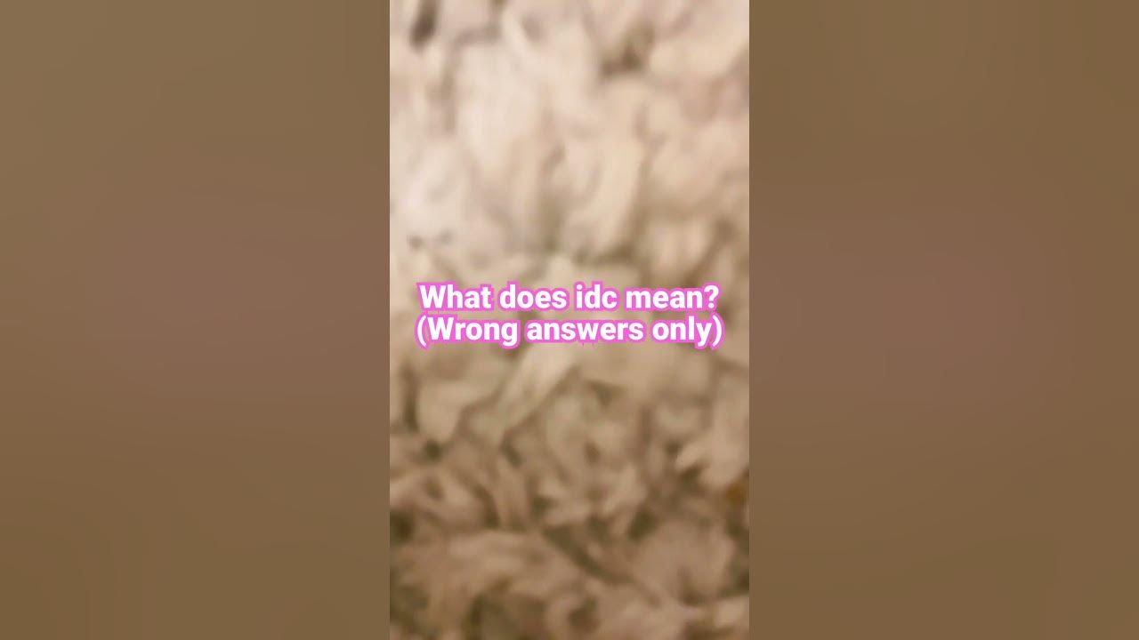 What does idc mean? YouTube