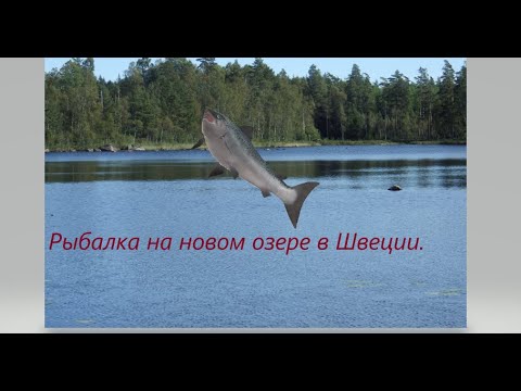 Рыбалка на глухом
