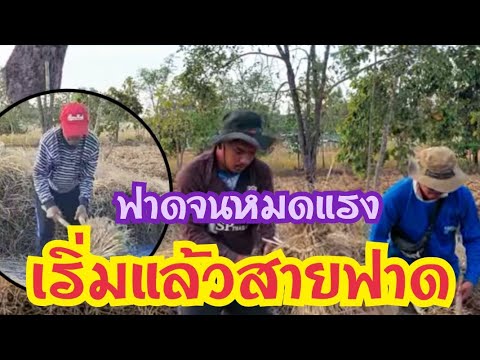 11.สายฟาด!-เริ่มแล้ว!-ฟาดคนเดี