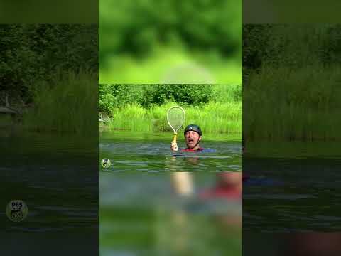 What if? Wild Kratts Platypus café episode