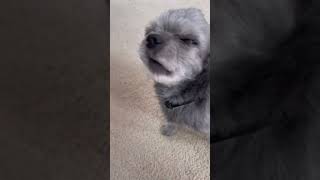 When You Smell A Fart