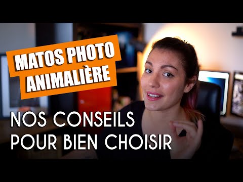 Comment choisir son BOÎTIER + OBJECTIF pour de la photographie animalière ? (CHOISIR SON MATOS #2)