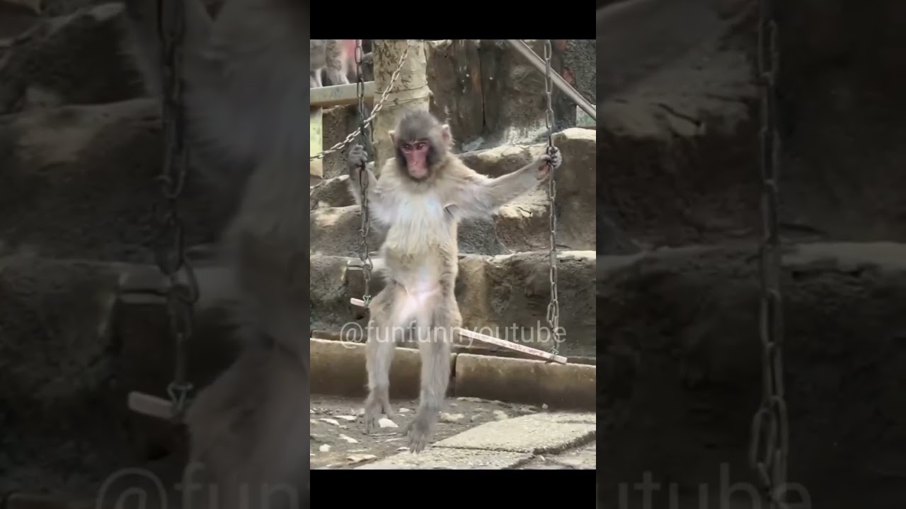 lemonchus baba ka  punarjanm (Part-1)🤣🤣