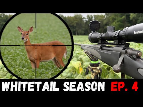 .30-06 Rifle Deer Hunting! (Will I make the SHOT?)