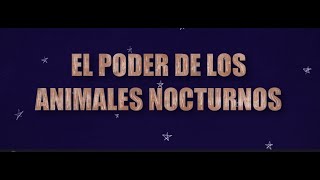 Serie 'Peque Exploradores' - Cap1 'El Poder de los Animales Nocturnos' - Audio Descriptivo - LSCH. by PAR Explora Sur Poniente 7 views 2 weeks ago 3 minutes, 49 seconds