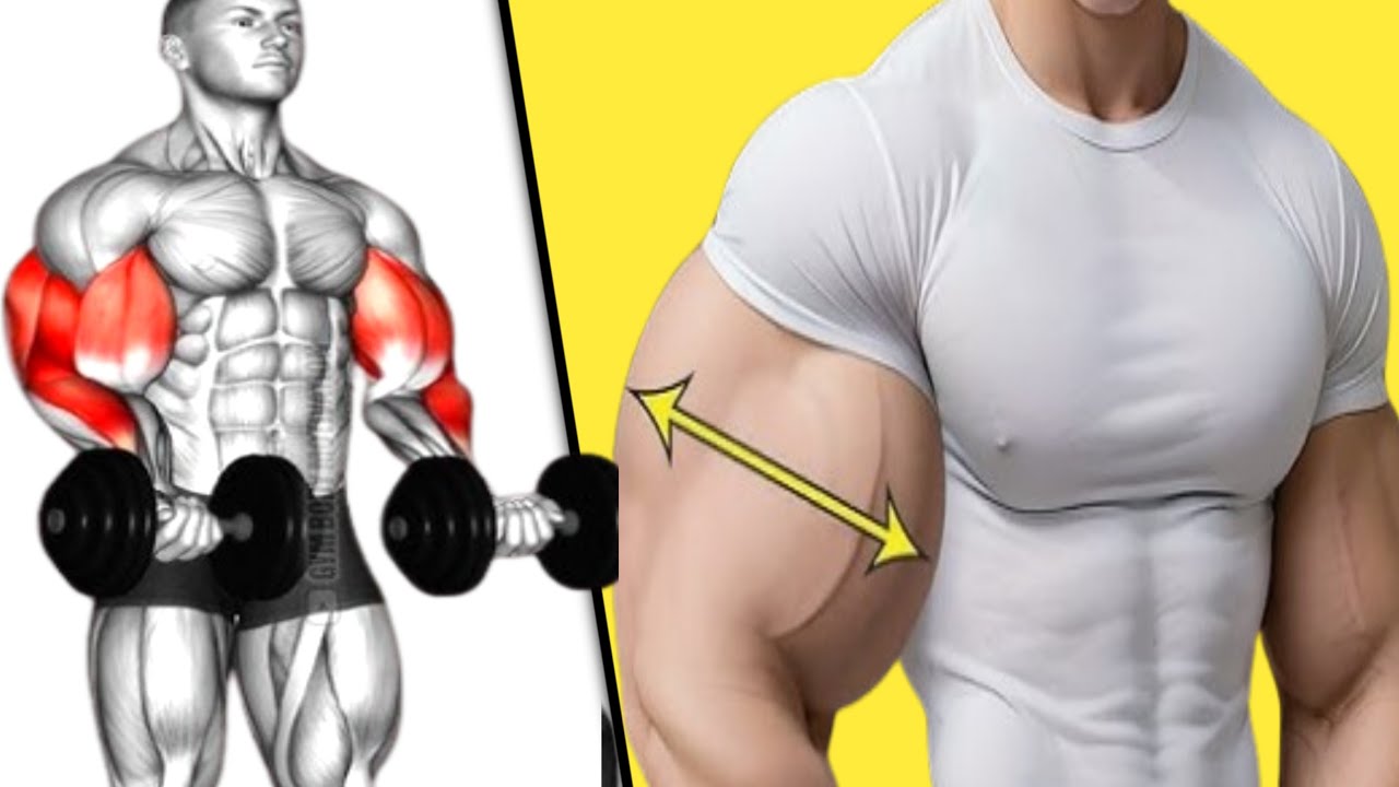 5 Best Bicep Workout at Gym | बाइसेप वर्कआउट कैसे करें