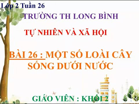 TNXH - K2 - Tuần 26 - Bài Một số loài cây sống dưới nước