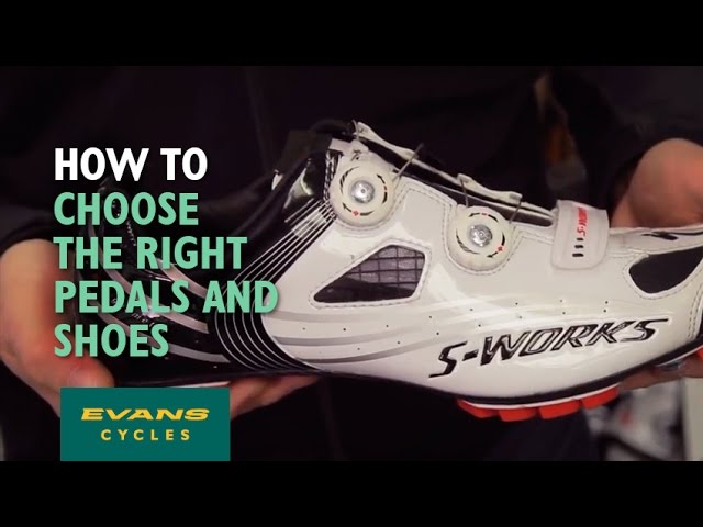 evans cycles road shoes