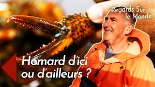 Le secret derrière le homard qui fait craquer les Français | Documentaire HD