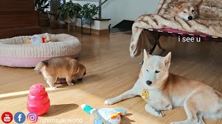 He's always watching 😆